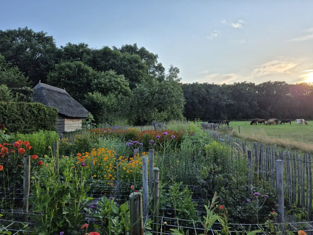Landschapstuin Giethmen 20260714 204347