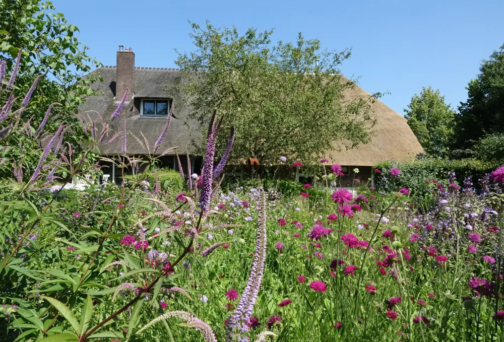 Landschapstuin Giethmen 8C971DA0-B9CB-49BD-973A-53F6C9DEA41C
