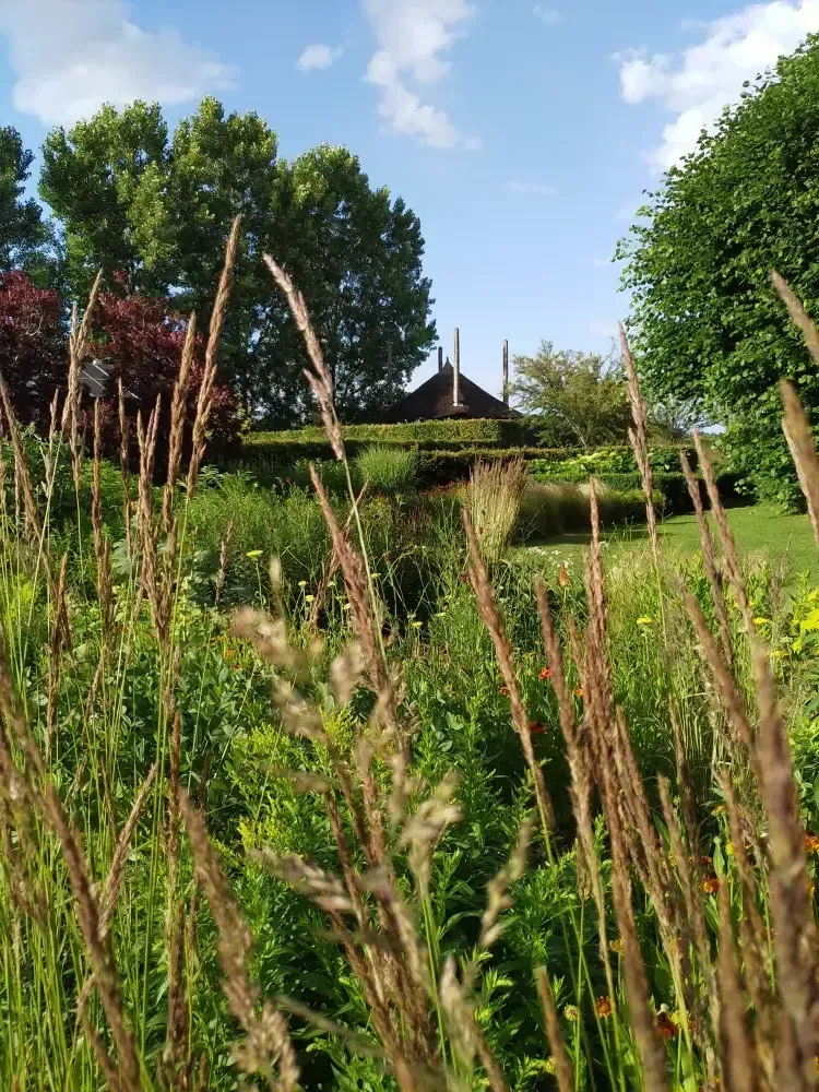 Landschapstuin Giethmen IMG 20200628 192150 x27