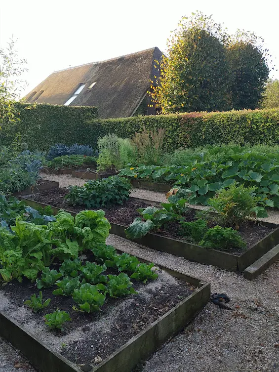 Landschapstuin Giethmen IMG 20240806 070401