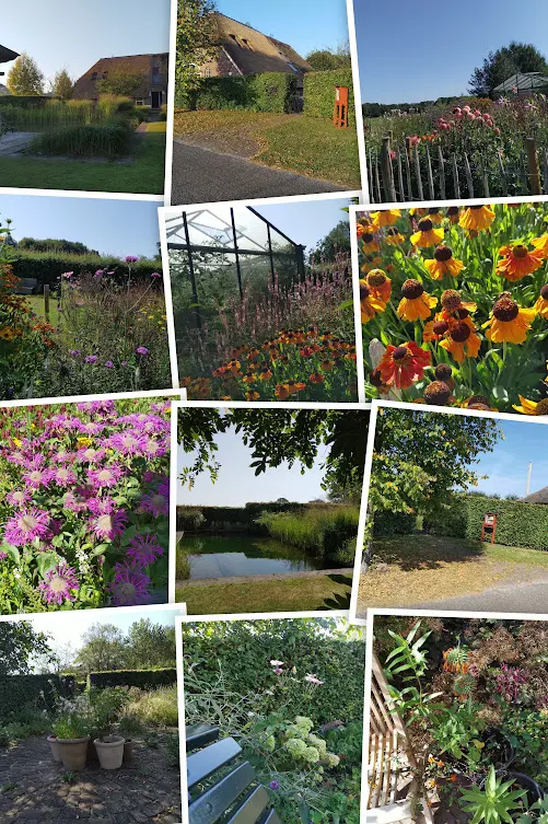 Landschapstuin Giethmen IMG 20240806 070517-COLLAGE