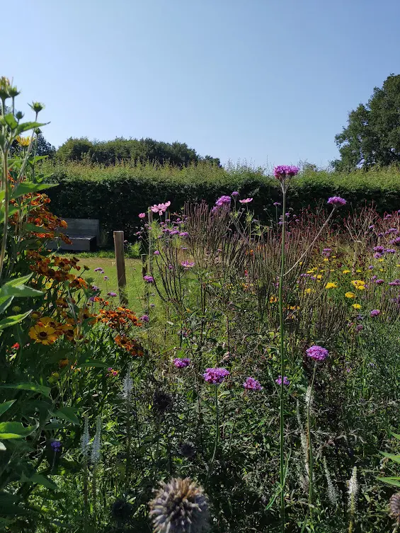 Landschapstuin Giethmen IMG 20240806 104159